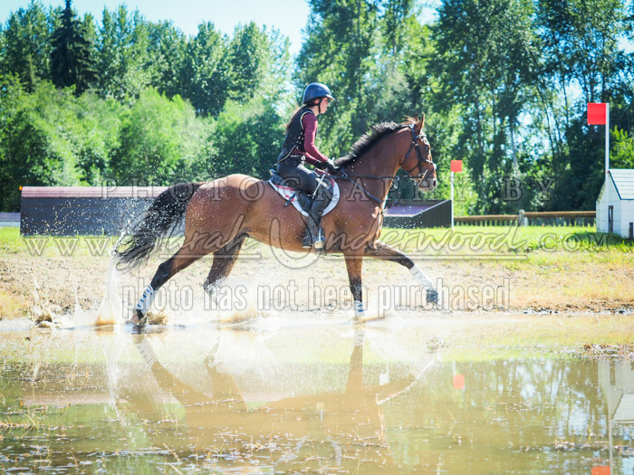 Chase Creek Eventing - Adult Camp, August 5-7 2022