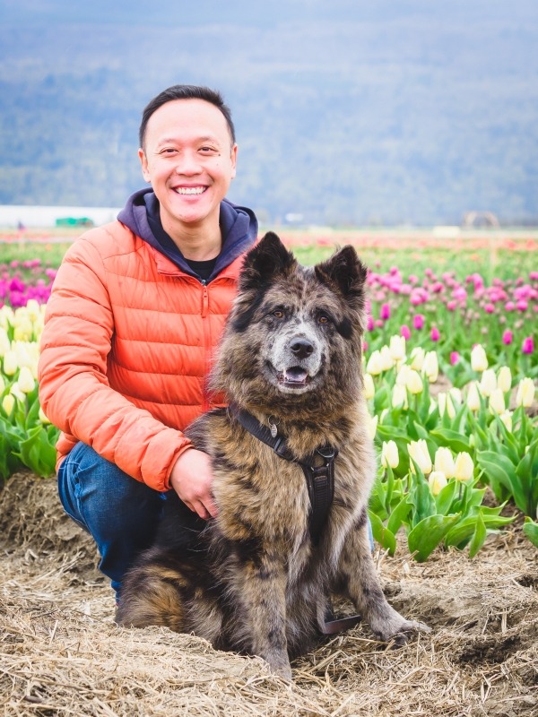 Bear - Tulip Festival Dog Portraits