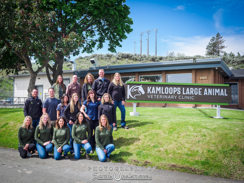 Kamloops Large Animal Veterinary Clinic